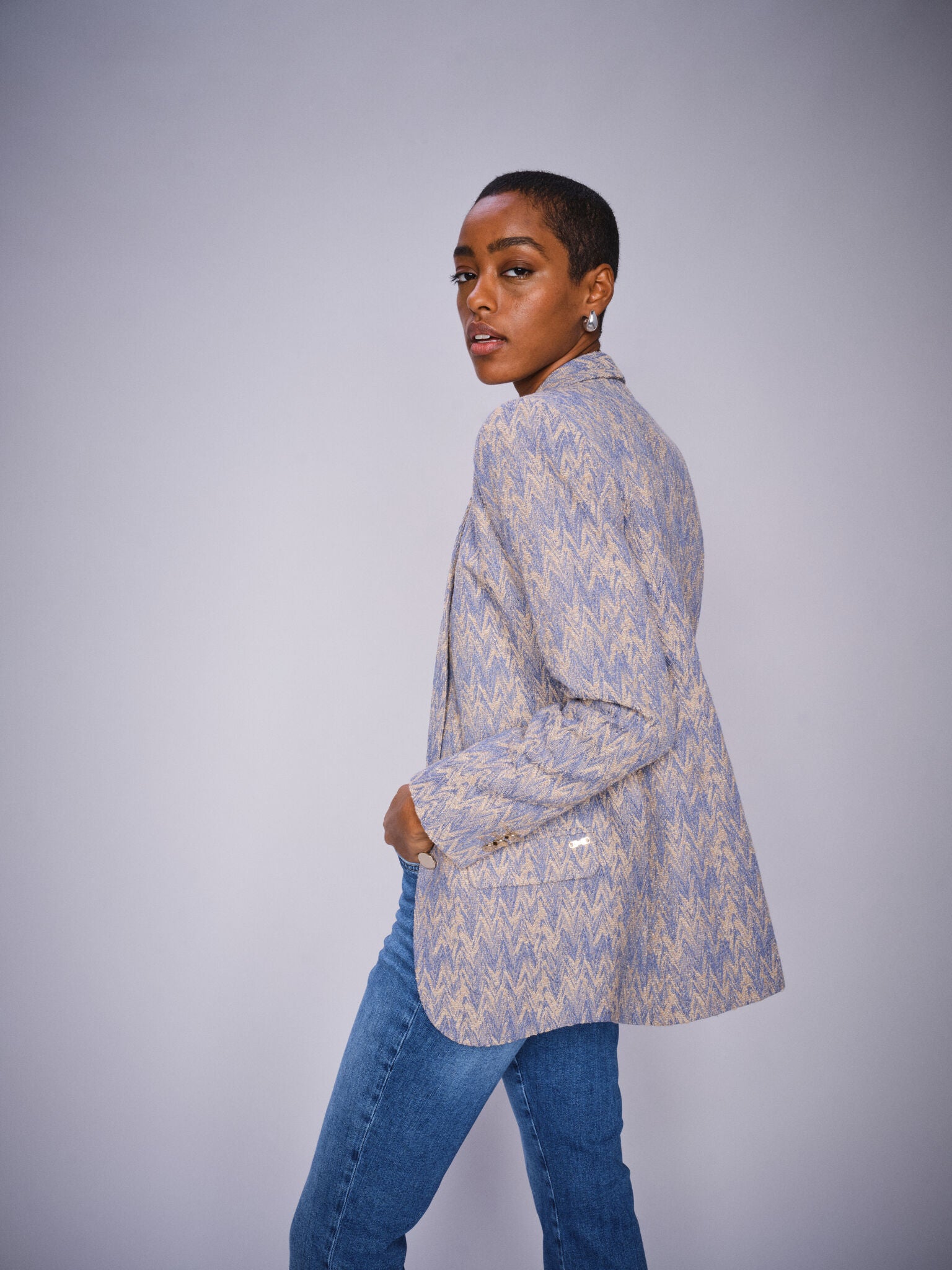 Modelshot / Hydrangea / Detail